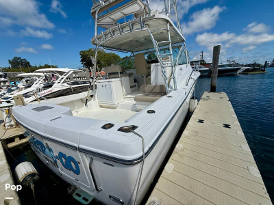 2006 Rampage 33 Express