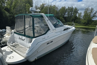 1991 Sea Ray 310 SUNDANCER