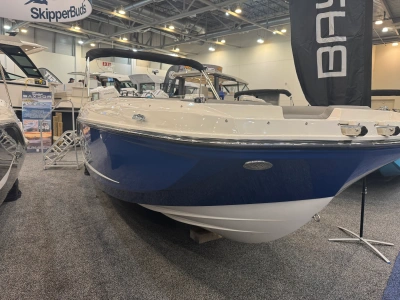 2025 Bayliner D20I