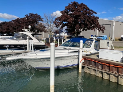 1990 Sea Ray 310 SUNDANCER
