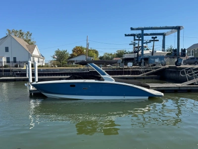 2026 Sea Ray SDX 290