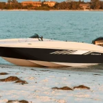 2025 Bayliner
