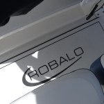 2026 Robalo