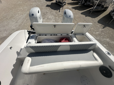 2021 Twin Vee 240 GFX