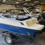 2025 Bayliner