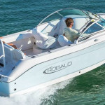 2026 Robalo
