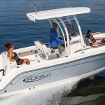 2026 Robalo