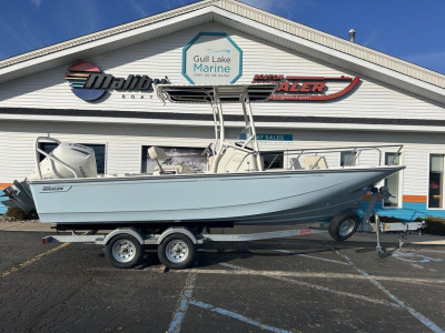 2024 Boston Whaler 210 Montauk