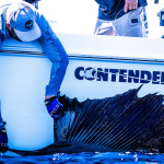2026 Contender