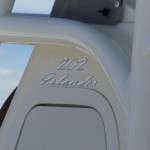 2025 Pioneer