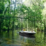 2025 Bayliner
