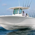 2026 Sailfish