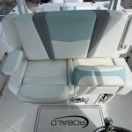 2025 Robalo