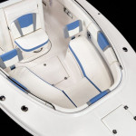 2025 Robalo