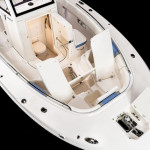 2025 Robalo
