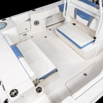 2025 Robalo
