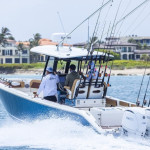 2026 Cobia