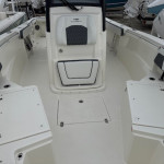 2026 Cobia