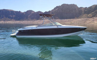 2005 Cobalt 250 BR