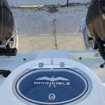 2026 Invincible