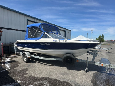 2007 Bayliner 195 DISCOVERY