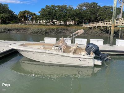 2022 Scout 195 Sport Dorado