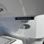 2025 MB Sports