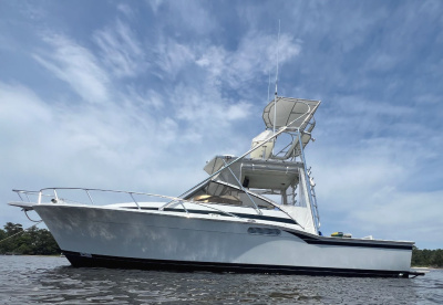1993 Blackfin 31 Combi