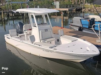 2024 Sea Fox 231 Bay Fox