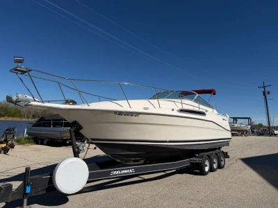 1994 Cruisers ROGUE 2870