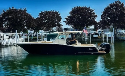 2017 Scout 320 LXF