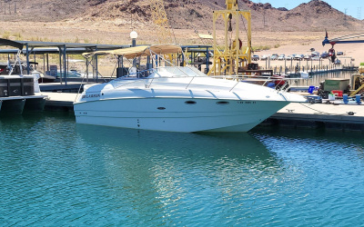 2001 Larson CABRIO 254 MID CABIN