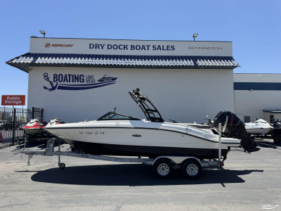 2018 Sea Ray SPX210 OUTBOARD