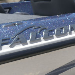 2025 Falcon
