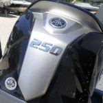 2025 Falcon