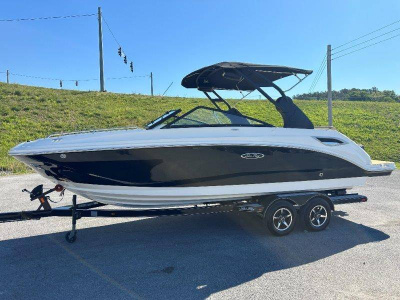 2019 Sea Ray 250 SDX