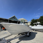 2026 Sailfish