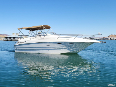 2001 Larson CABRIO 254 MID CABIN