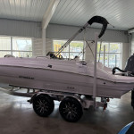 2026 Stingray