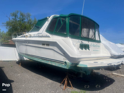 1992 Sea Ray Express 370