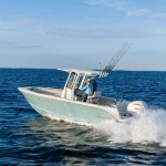 2026 Sailfish