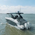 2026 Cruisers