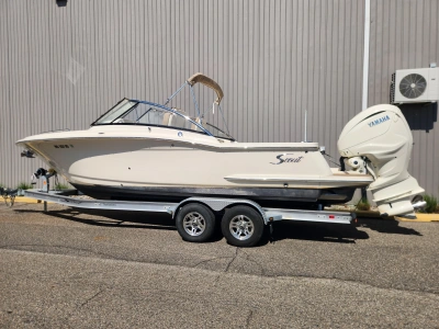 2022 Scout 255 DORADO