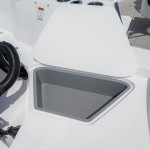 2026 Stingray