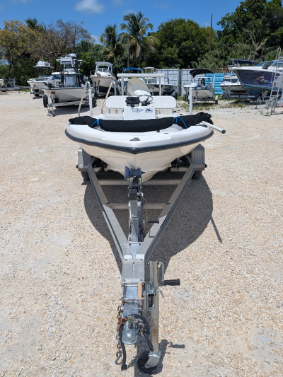 1987 Dolphin 18  Backcountry Pro