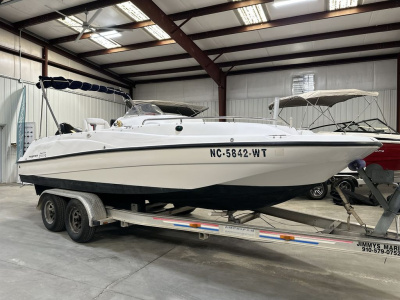 2003 Pro Sport Sunkeeper 2100
