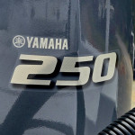 2026 Sportsman