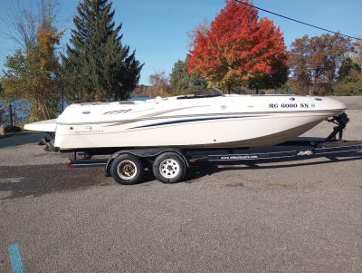 2004 Bennington RL211