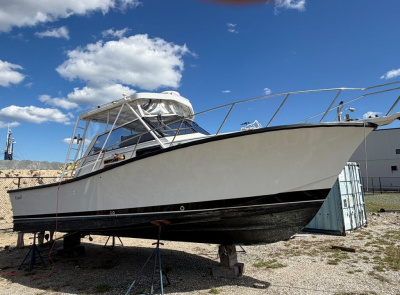 1989 Rampage 31 Express