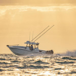 2026 Yellowfin